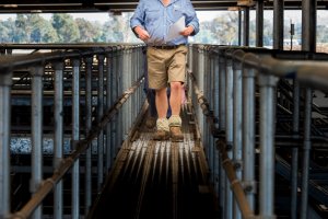Walking the Gantry