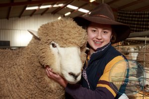Sheep Show
